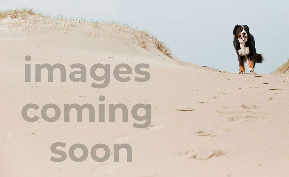 Corner unit townhome with lots of light ...