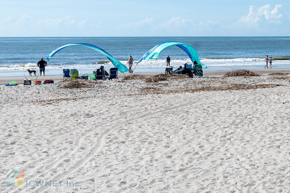 are dogs allowed at hunting island state park