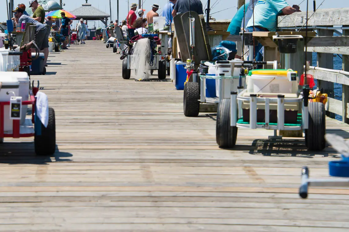 The 7 Best Fishing & Beach Carts for 2025