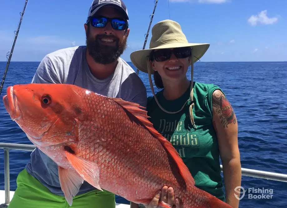FishingBooker: How to Fish for Red Snapper in Florida: The Complete Guide  for 2024