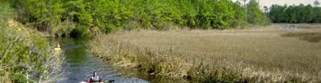 Intracoastal Waterway Awendaw Creek Tour