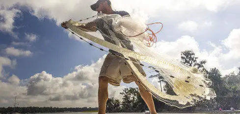 Lowcountry Seafood Experience