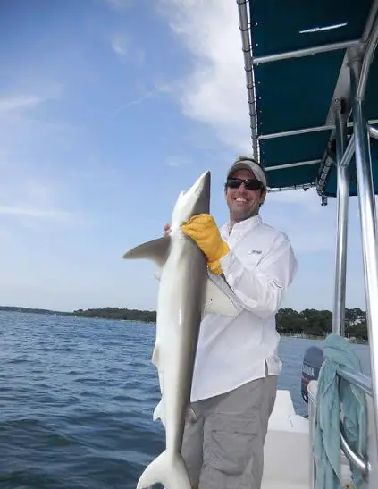 Three Hour Shark Fishing Excursion