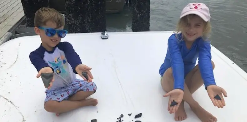 Shelling, Shark Tooth, & Dolphin Excursion