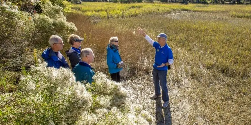 Salt Marsh Discovery