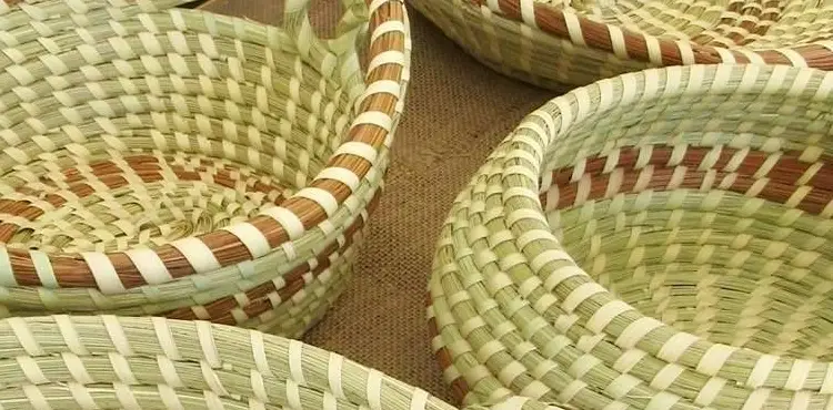 Sweetgrass Basket Class