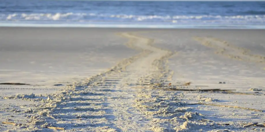 Beach Discovery Tour