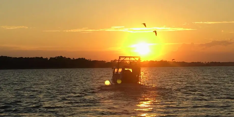 One Hour Sunset/Dolphin Cruise