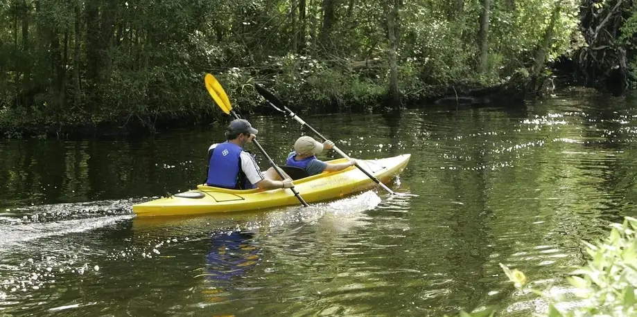 Two Hour Kayak or Canoe Rental