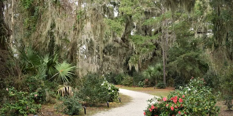 Camellia Garden Talk & Tour