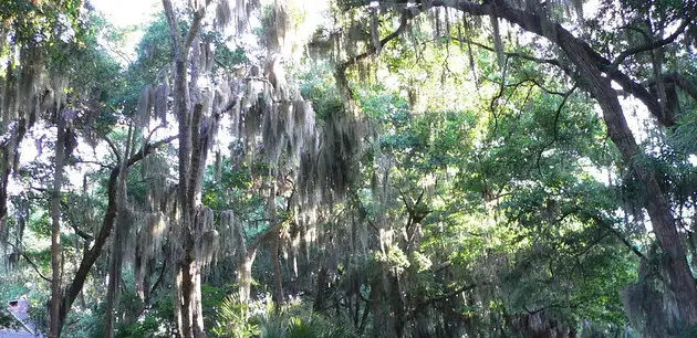 Baby Gear Rental • One Day