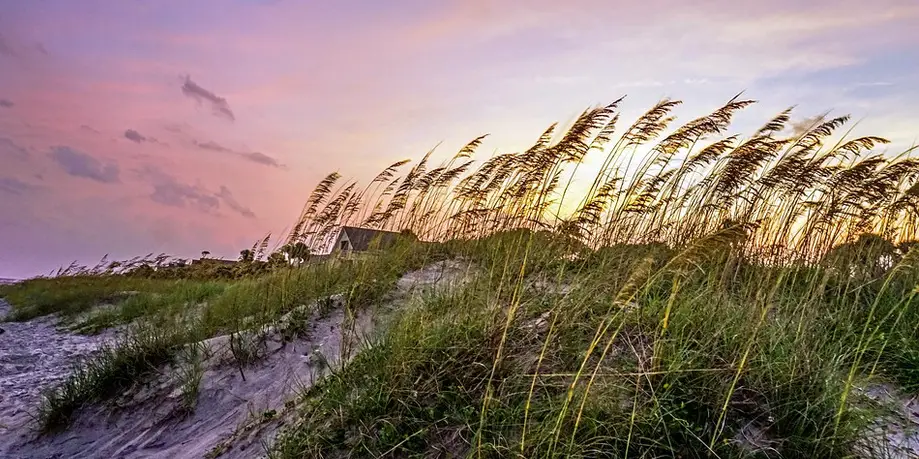 Beach Gear Rental • Three Days