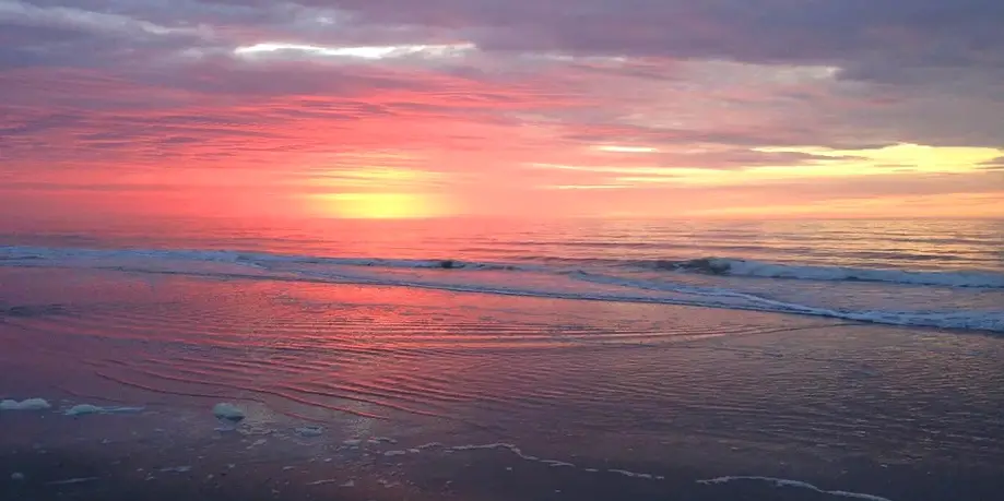 Beach Gear Rental • Two Weeks