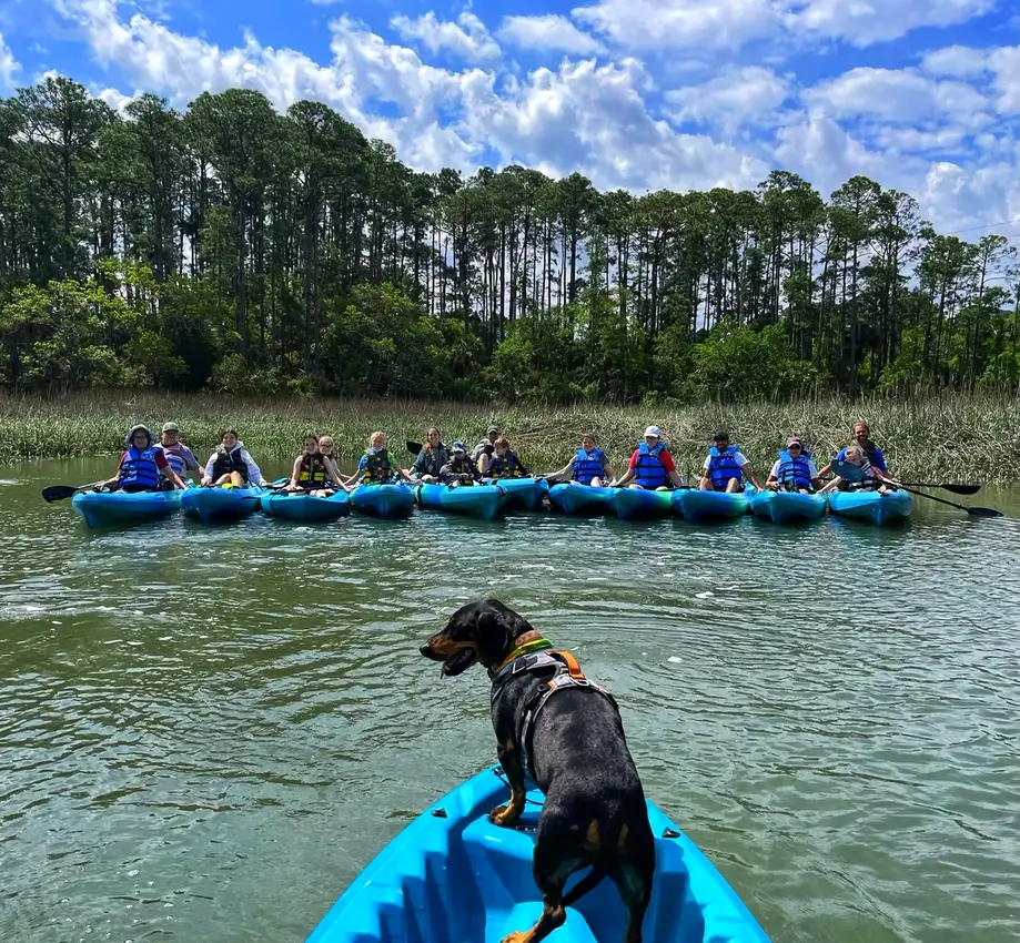 Sunrise Guided Kayak Tour