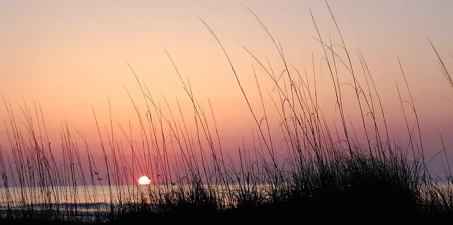 Bike Rental • Five Day