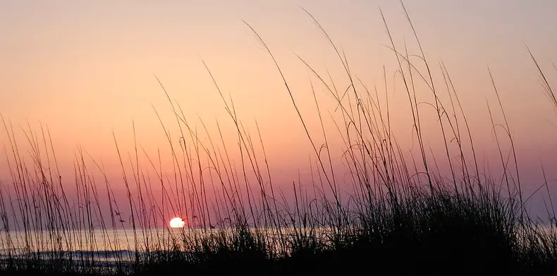 Beach Gear Rental • Five Days