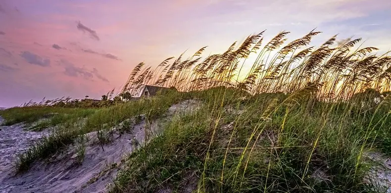 Baby Gear Rental • Six Days