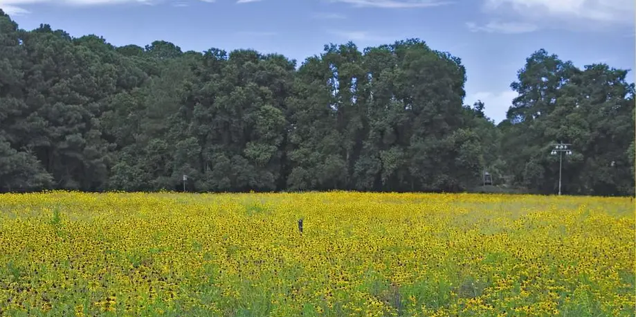 Baby Gear Rental • Four Days