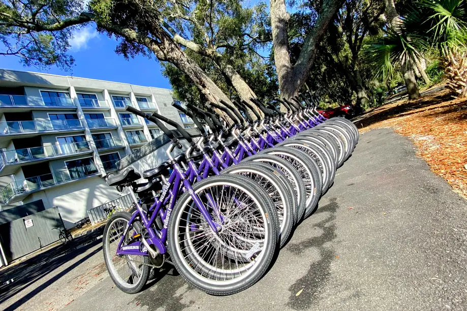 Day Rental (Walk Up)