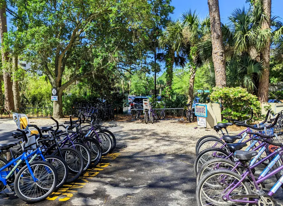 4 Day Rental (Walk Up)