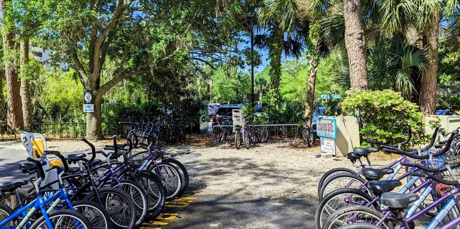 6 Day Rental (Walk Up)