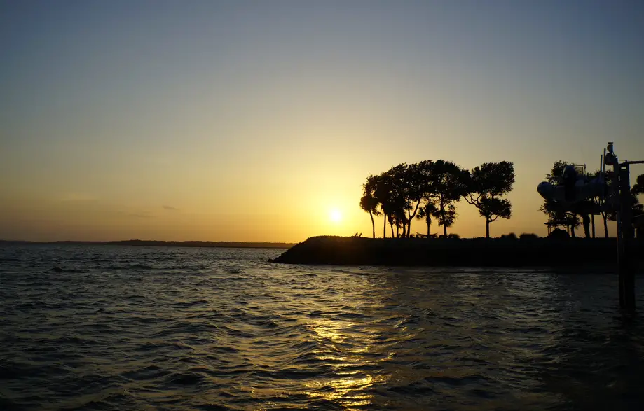 Sunset Dolphin Cruise Aboard Dolphin Seafari