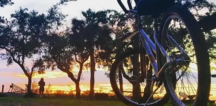 Two Day Rental (Walk Up)