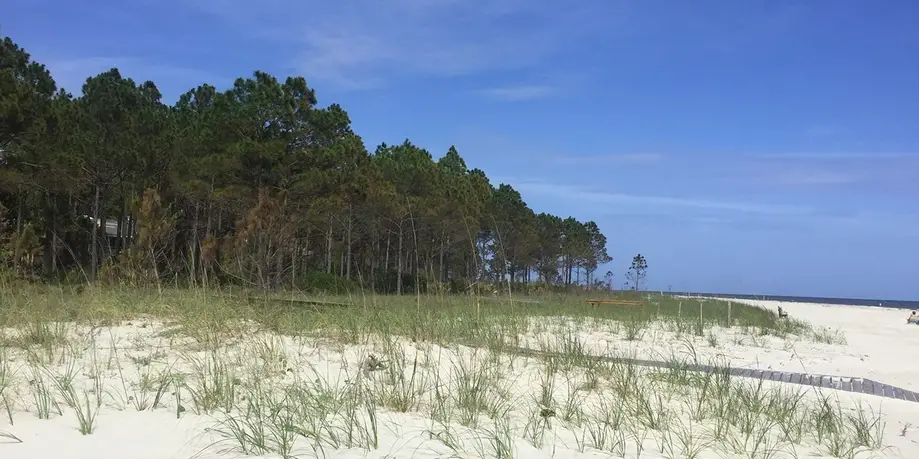 Ten Day Rental (Walk Up)