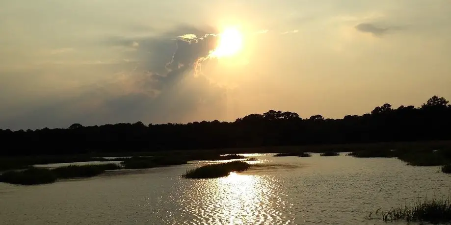 Four Week Rental (Walk Up)