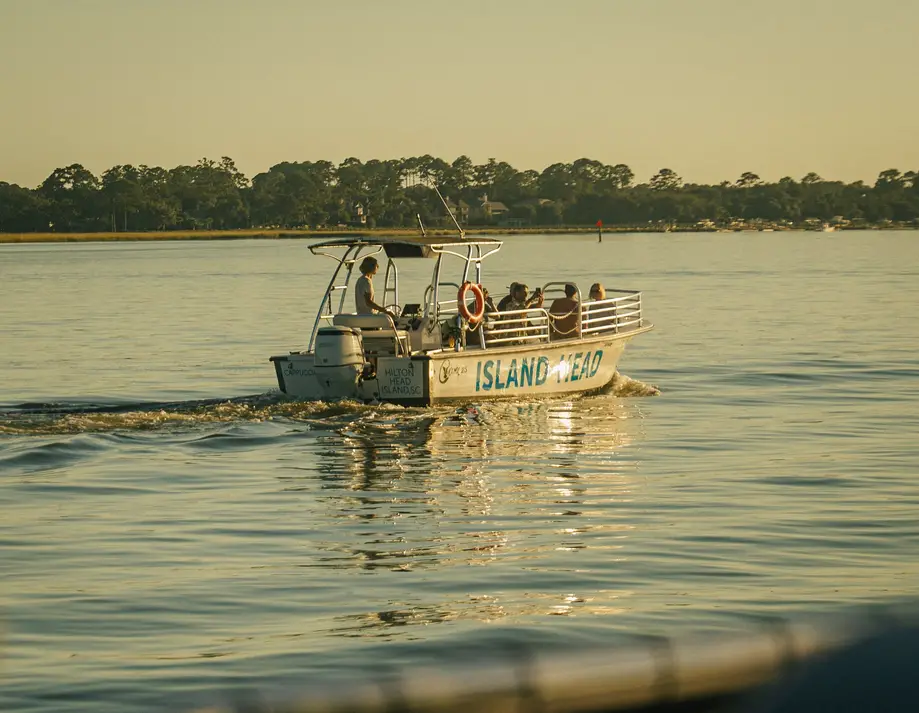 Sunset Celebration Dolphin Cruise