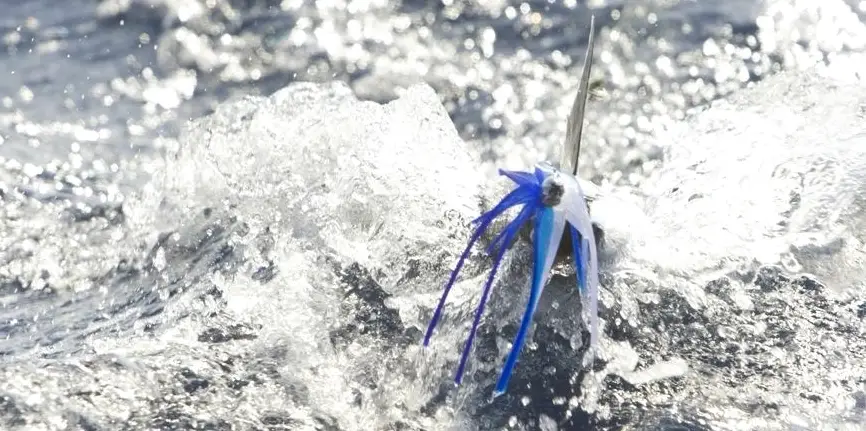 Trolling/Bottom Fishing Trip