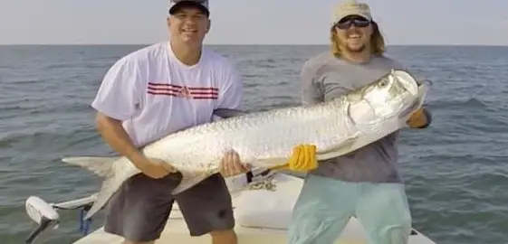 8 Hour Fishing Charter