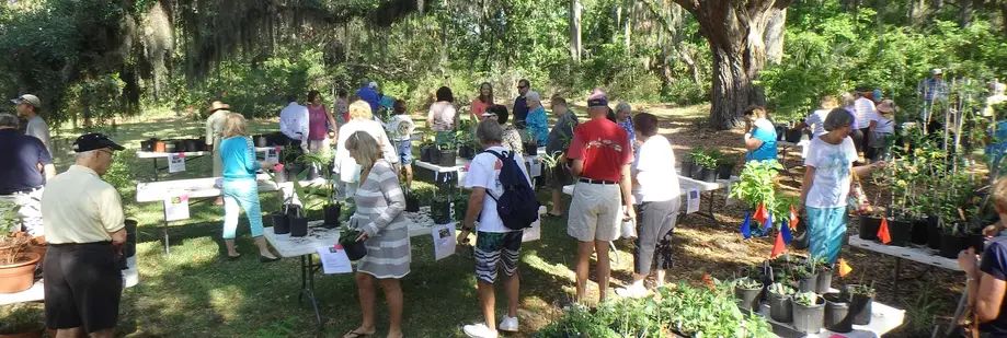 Native Plant Sale