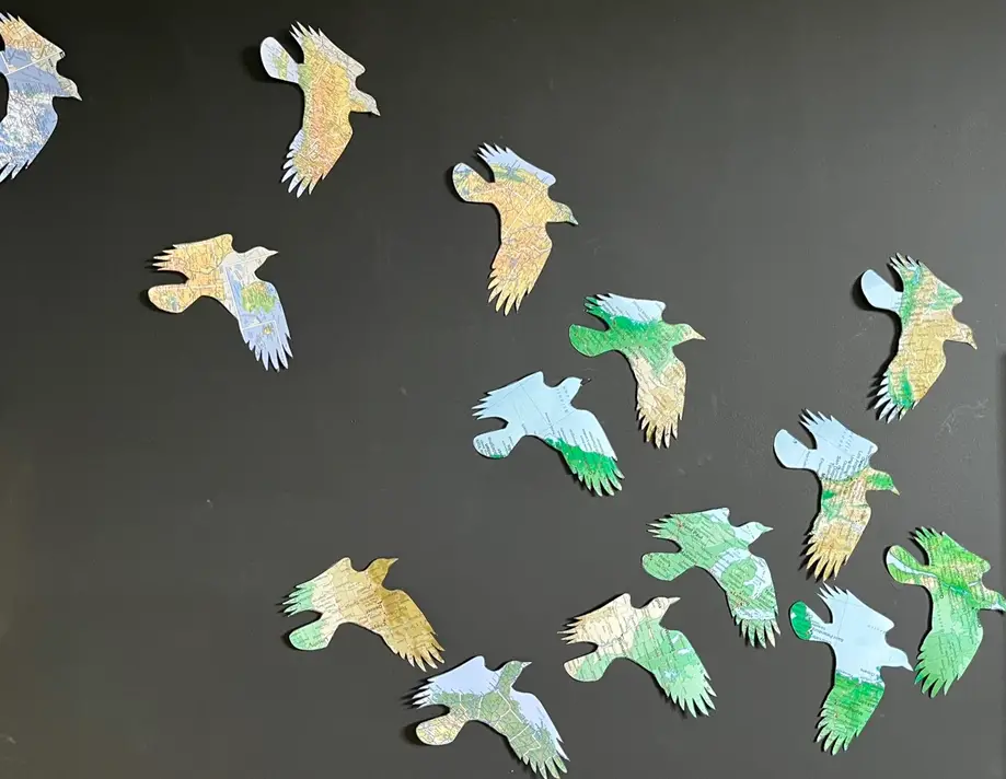 Community Workshop- Bird Silhouettes