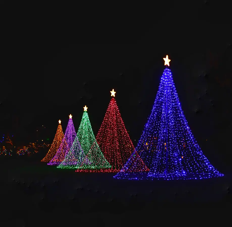 Daytime General Admission with Festival of Lights nightime Ticket