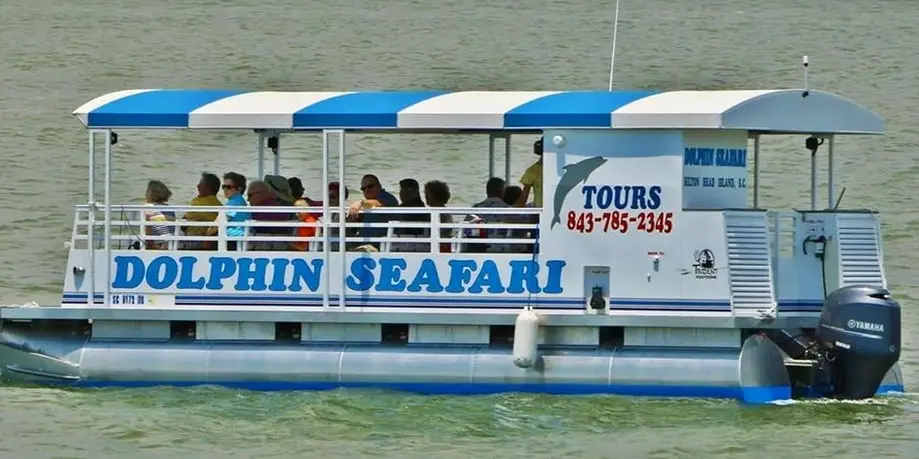 Donuts with Dolphins Aboard Dolphin Seafari
