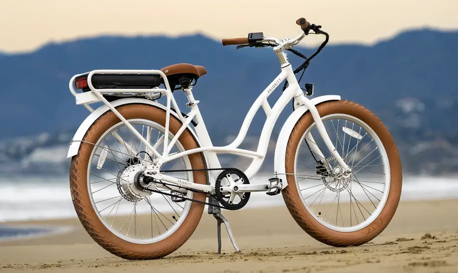 Thirteen Day Electric Bike Rental