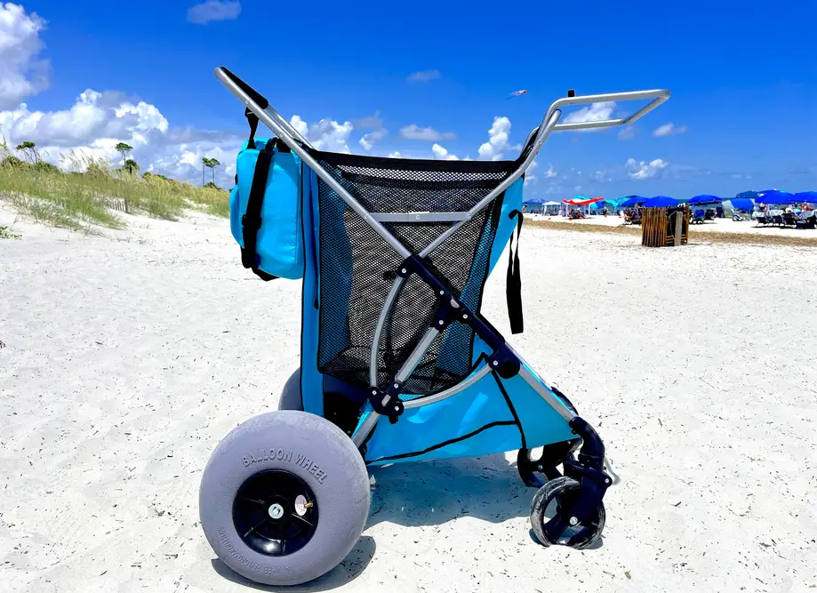 Two Day Beach Cart Rental