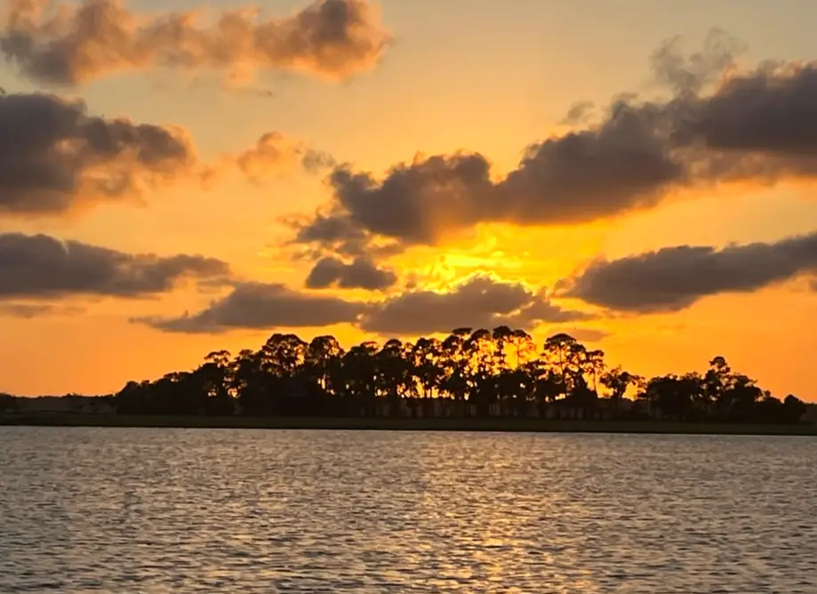 Shared / Sunset Guaranteed Dolphin Tour