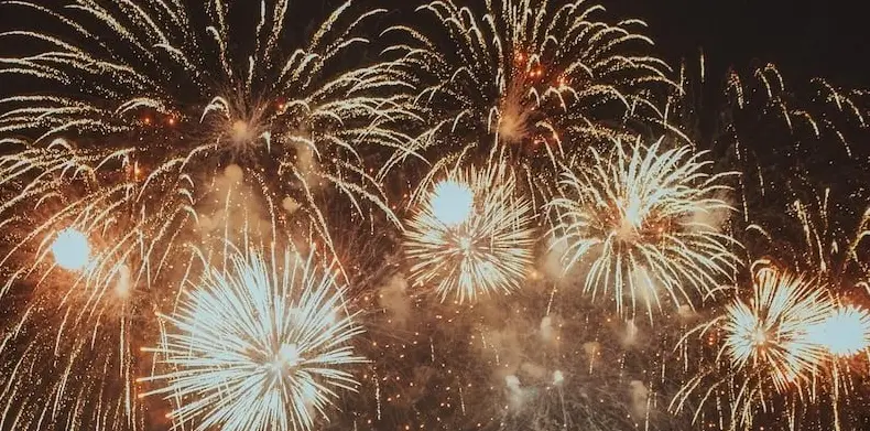 Shared / Fireworks & Guaranteed Dolphin