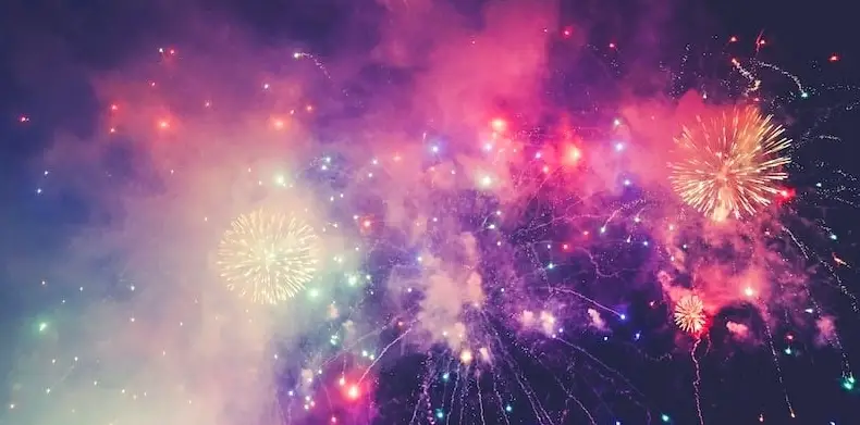 Private / Fireworks & Guaranteed Dolphin Tour