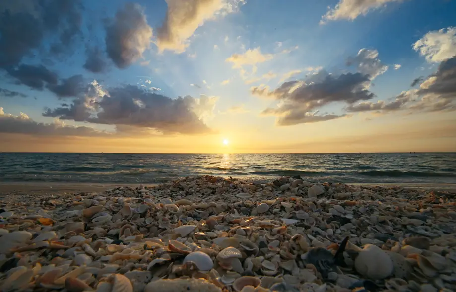 Private / Beach Comber & Vanishing Island