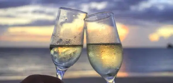 Bachelor/Bachelorette