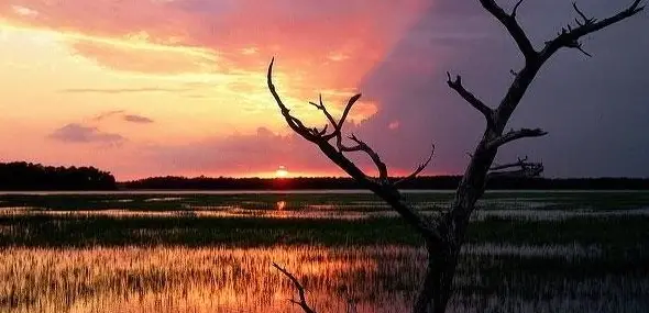 Sunset Dolphin Cruise