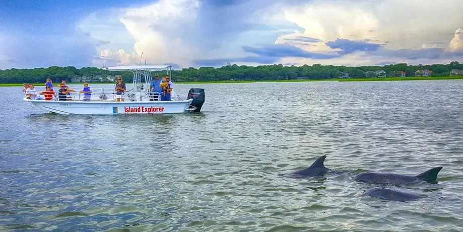 Private Dolphin Encounter - Two Hour