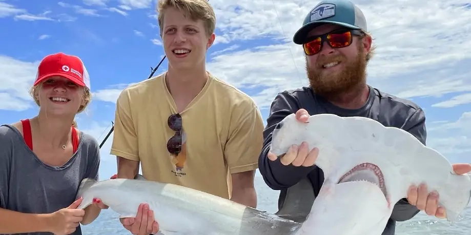 3 Hour Evening Shark Trip