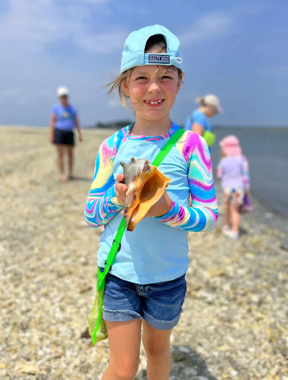 Shared / Family Shell Hunt & Dolphin Tour