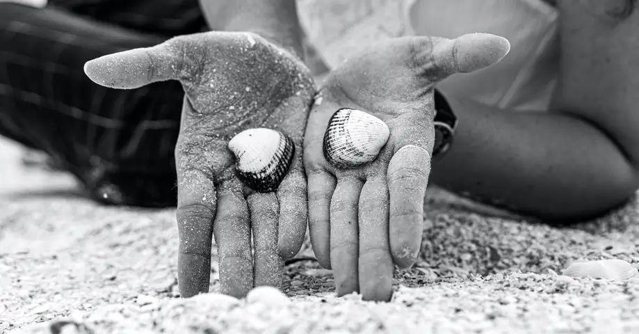 Shared / BeachComber & Vanishing Island