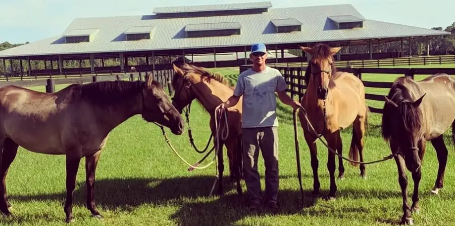 Horse Therapy Sessions