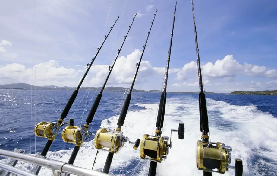 Nearshore Fishing Charter